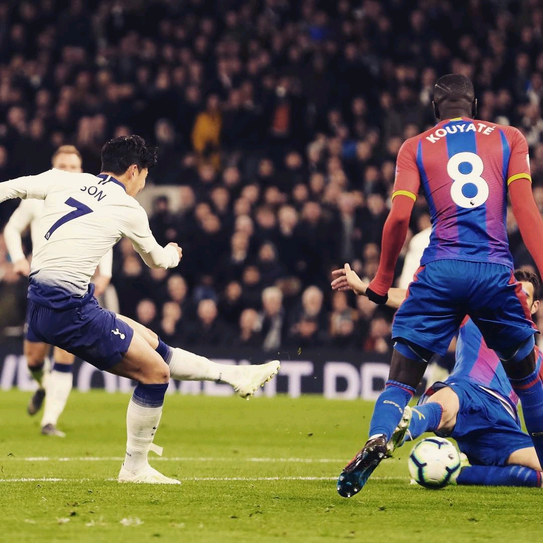 的冬季运动 的冬季运动